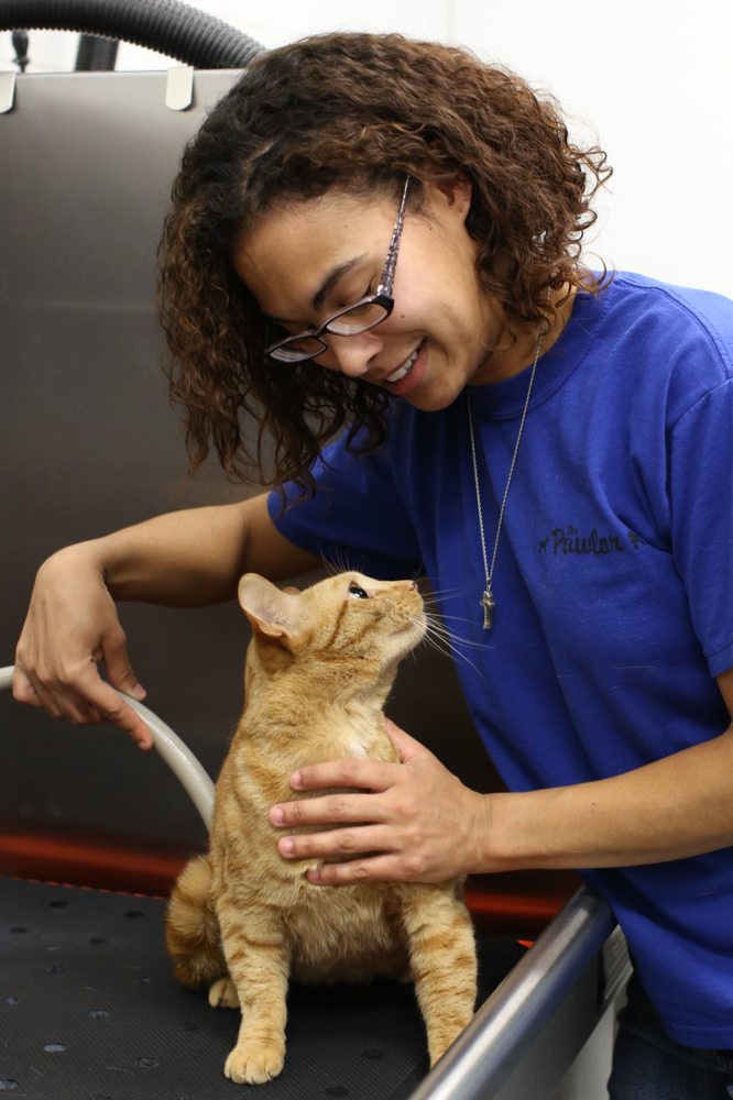 La Verne, CA Fur Town Pet Spa